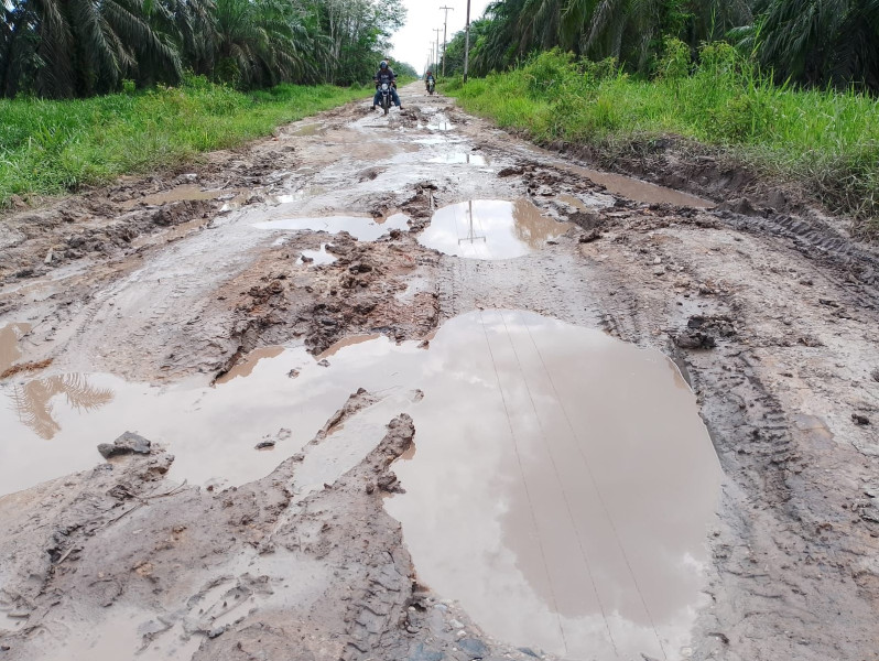 Napas Ekonomi Desa Sungai Ara Tersendat: Jeritan Warga Menanti Sentuhan Perbaikan Jalan Oleh Pemkab Pelalawan