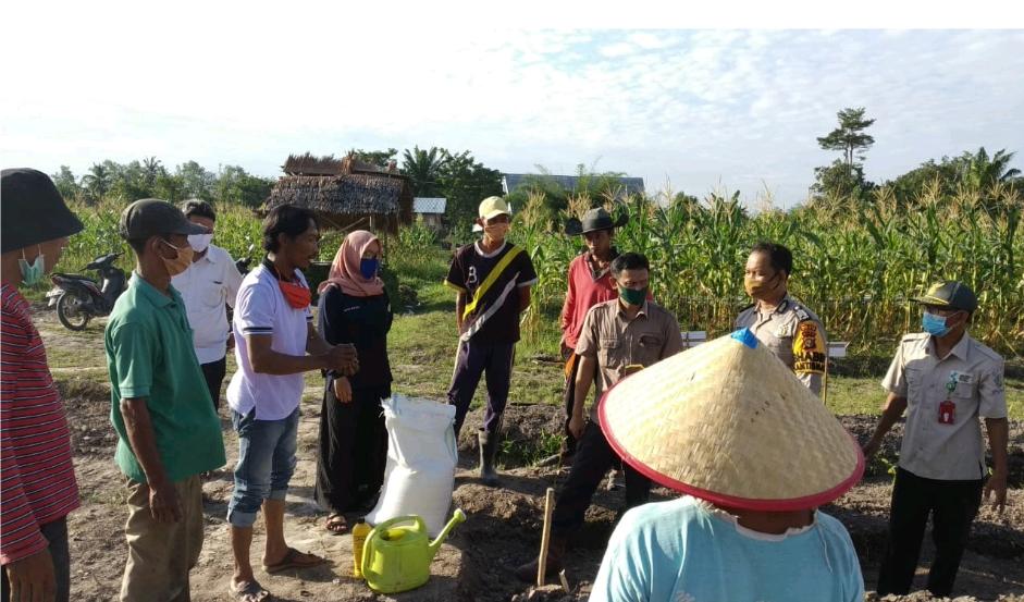 Petani Gambut Riau Tolak Pembubaran BRG, Aliansi Petani Gambut Riau: BRG hadir bantu petani