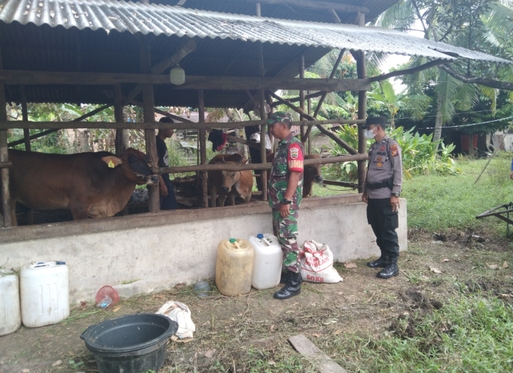 Babinsa Koramil 01/Siak Dukung Vaksinasi PMK, Himbau Pentingnya Pencegahan Penyakit pada Ternak di Kampung Suak Lanjut