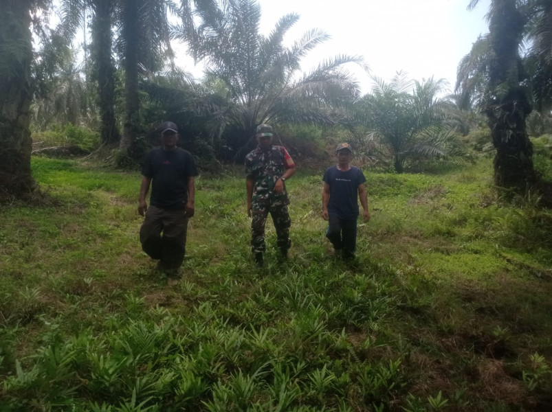Bersama Warga di Kampung Kuala Gasib, Kopda L Sigalingging Patroli Gabungan Untuk Cegah Karhutla