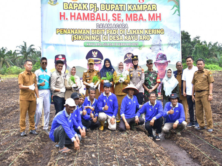 Dukung Ketahanan Pangan Nasional, Pj Bupati Kampar Hambali Tanam Padi Di Desa Kayu Aro Kampar Utara