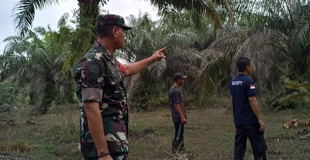 Sertu Sarju Babinsa Koramil 04/Perawang Ajak Warga Binaannya Lakukan Penanggulangan Karhutla Dengan Cara Berpatroli