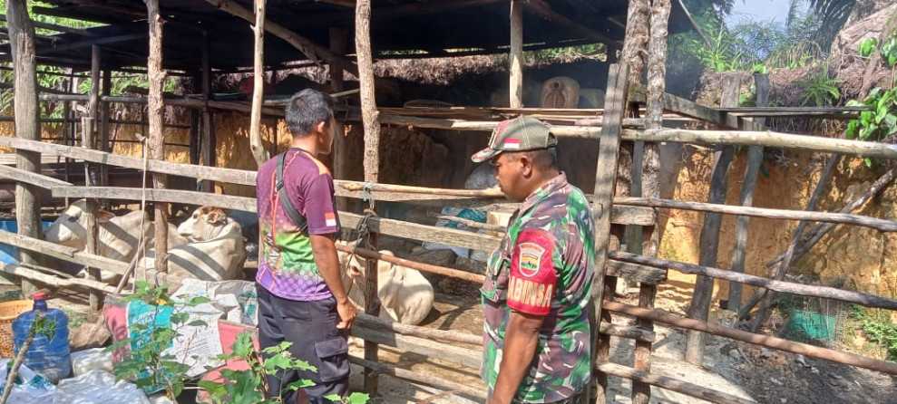 Babinsa dan Tim URC Aktif Lakukan Surveilance Pencegahan PMK di Kuala Gasib