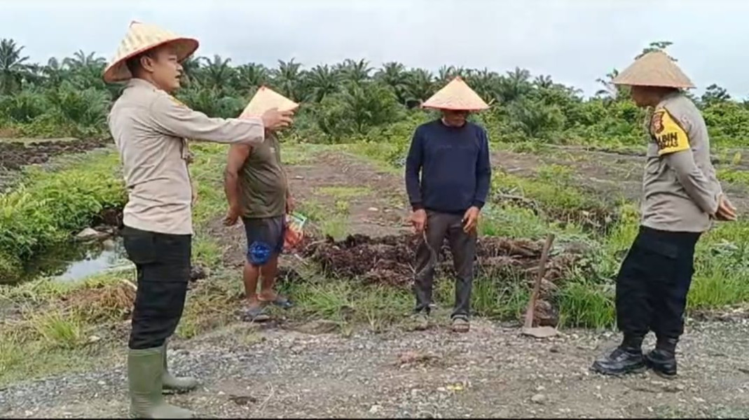 Tingkatkan Ketahanan Pangan, Polsek Koto Gasib Bentuk Kelompok Tani Bhayangkara