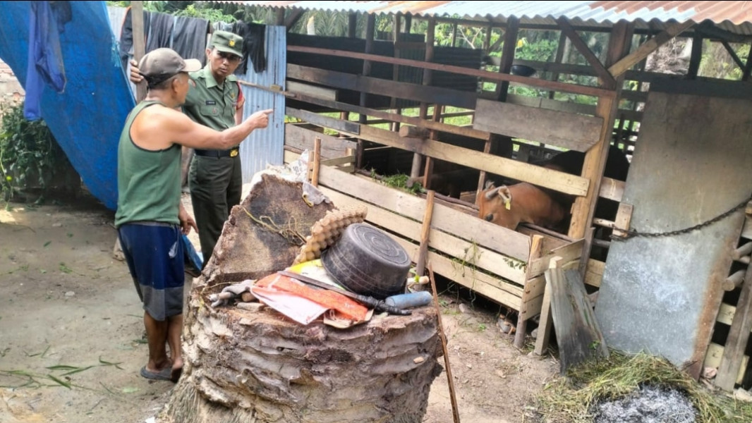 Antisipasi Penularan PMK Hewan Ternak, Babinsa Koramil 03/Minas Giat Pendampingan di Kampung Lubuk Jering