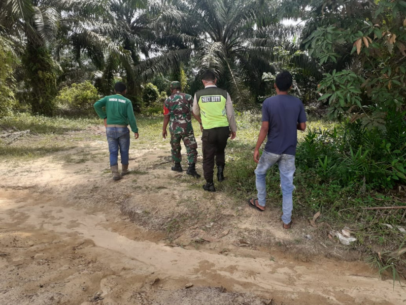 Babinsa Koramil 03/Minas Patroli Pencegahan Karhutla di Lubuk Umbut, Sungai Mandau