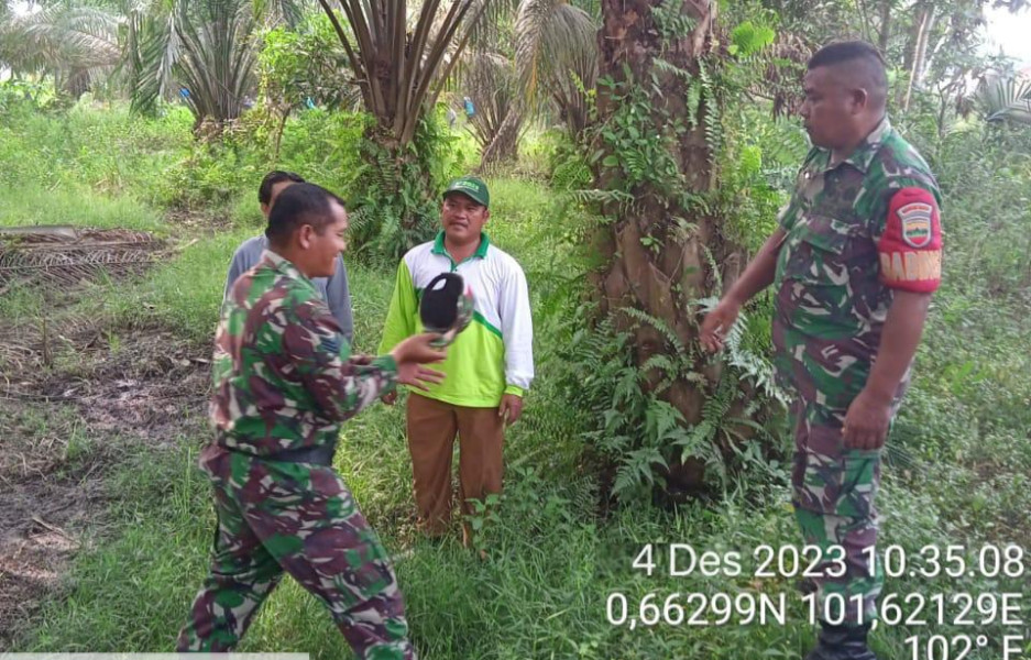 Bersama Warga Diseputaran Jalan Ferry, Babinsa Koramil 04/Perawang Lakukan Penanggulangan Karhutla Dengan Cara Berpatroli