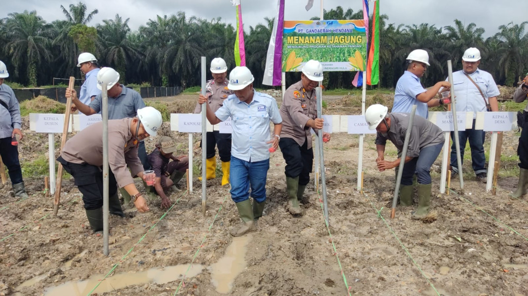 Sukseskan Program Presiden, PT. GH dan Polres Inhu Tanam Jagung