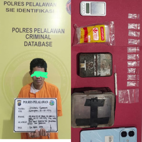 Gagalkan Peredaran Sabu di Perkebunan Sawit, Satresnarkoba Polres Pelalawan Ciduk Pelaku dan Sita Barang Bukti