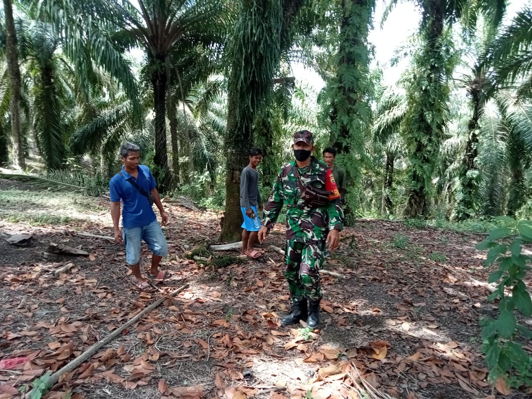 Antisipasi Karhutla, Babinsa Minas Timur Ajak Masyarakat Berpatroli & Lakukan Sosialisasi