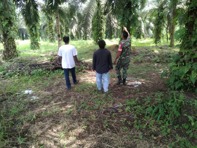 Babinsa Koptu Togi Sitorus, Ajak Warga Binaan Patroli Gabungan Rutin Untuk Antisipasi Karhutla di Kampung Perawang Barat