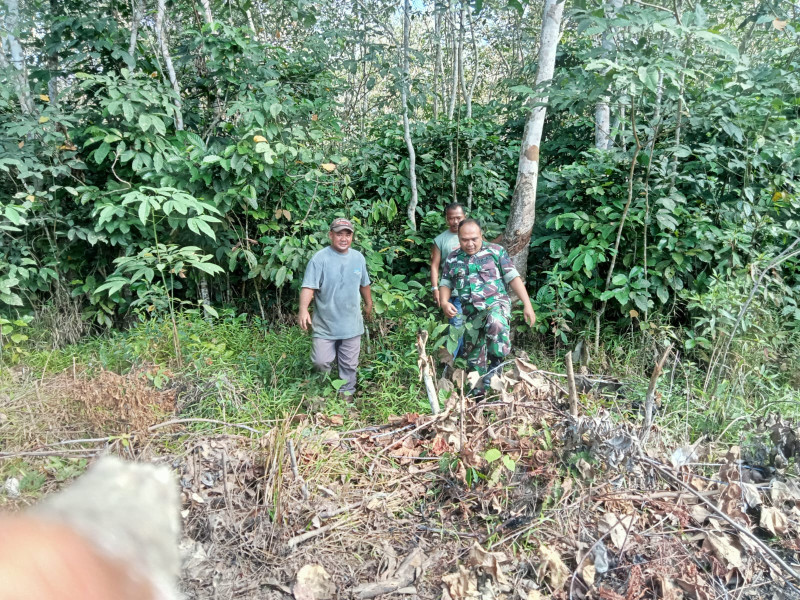 Tak Henti-hentinya, Pelda Safri Selalu Rutin Ajak Warga Binaan di Buatan II Giat Penanggulangan Karhutla Dengan Berpatroli