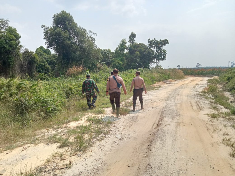 Babinsa Koramil 03/Minas Gencar Patroli Karhutla, Imbau Masyarakat Jaga Lingkungan Sekitar