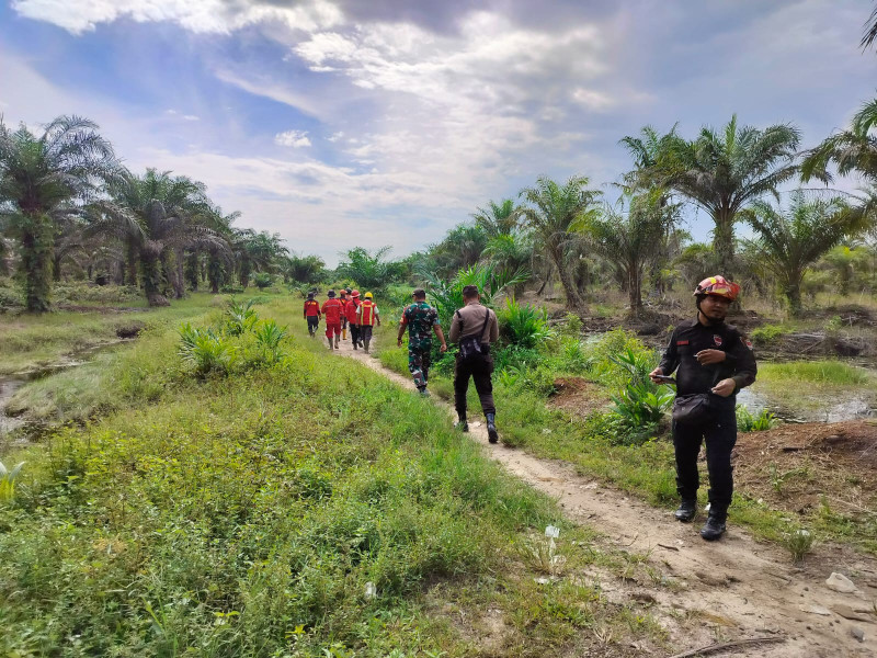 Babinsa Kopda AKP Hutagalung Patroli Pencegahan Karhutla Bersama Warga Minas Barat, Situasi Terkendali