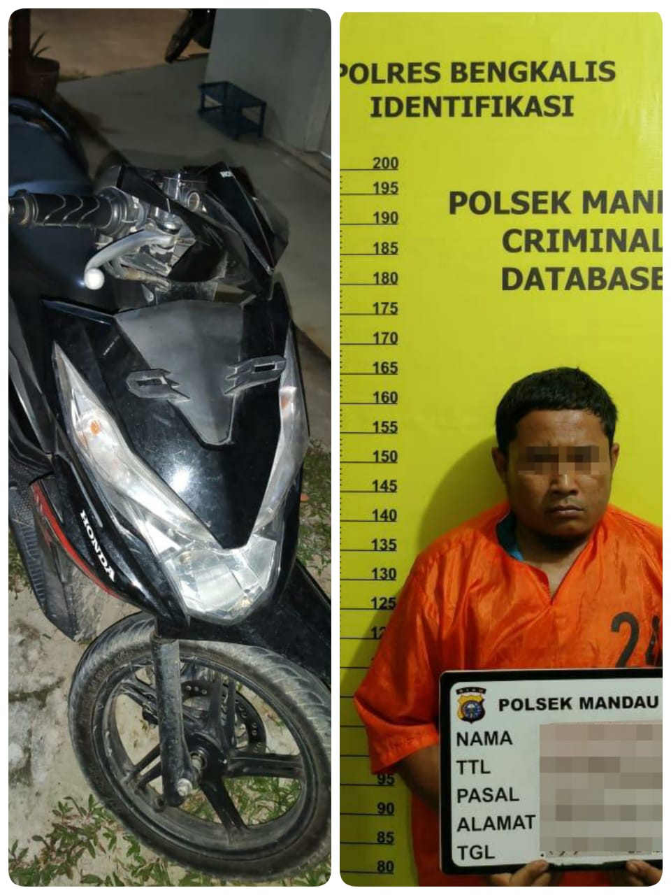 Tim Opsnal Polsek Mandau Tangkap Satu Orang Pelaku Curanmor Di Desa Bumbung