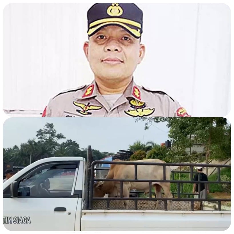 PWI Pelalawan Gelar Pemotongan dan Pembagian Daging Qurban Pertama dari Kapolres