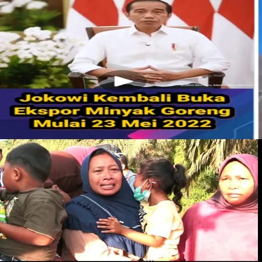 Jokowi Usap Tangisan Petani Sawit Indonesia
