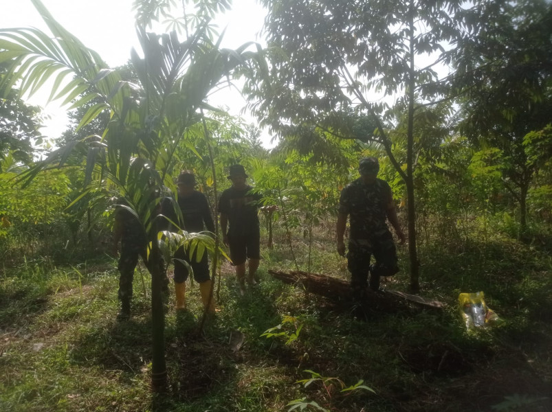 Sertu Sarju Dan Kopda L Sigalingging Bersama Warga Kampung Tualang, Patroli Gabungan Guna Cegah Karhutla