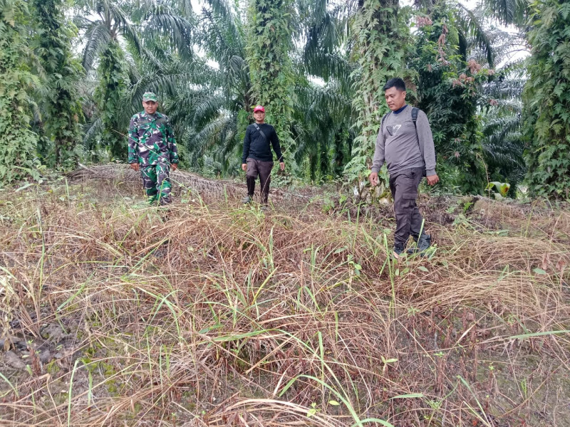 Sinergi TNI dan Masyarakat Terus Digalakkan dalam Patroli Karhutla di Wilayah Koramil 03/Minas