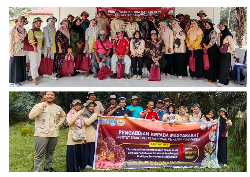 ITP2I Gelar Sosialisasi Teknik Pembungaan Kelapa Sawit: Wujud Perkebunan Berkelanjutan di Pelalawan