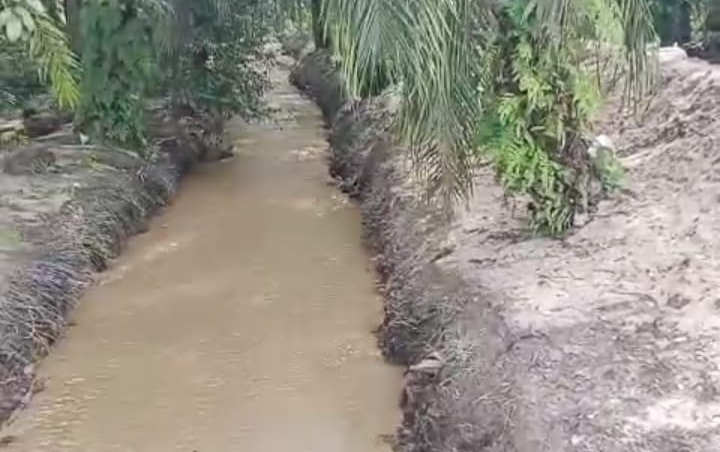 Bos Alat Berat Merugi Ratusan Juta Diduga Dampak Proyek Siluman, Hingga Alat Berat Dikuasai Kades Bagan Limau