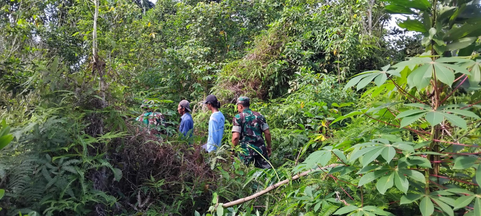 Babinsa Koramil Perawang Rutin Lakukan Patroli Pencegahan Karhutla, Situasi Aman