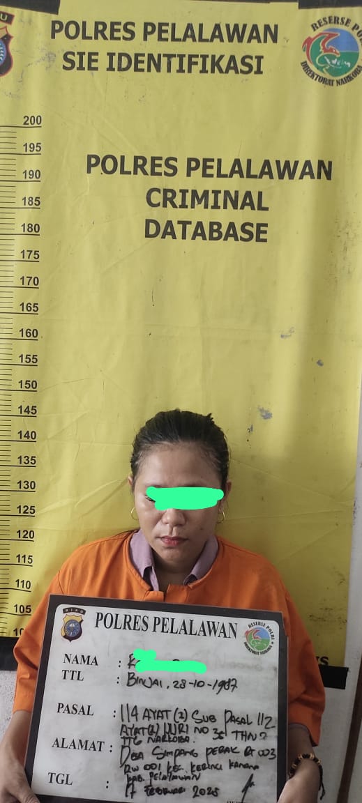 Satres Narkoba Polres Pelalawan Berhasil Amankan 16,09 Gram Sabu dari Seorang IRT