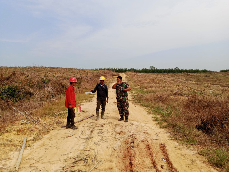 Babinsa Serka D Sihombing Patroli Pencegahan Karhutla di Kampung Muara Bungkal, Situasi Aman