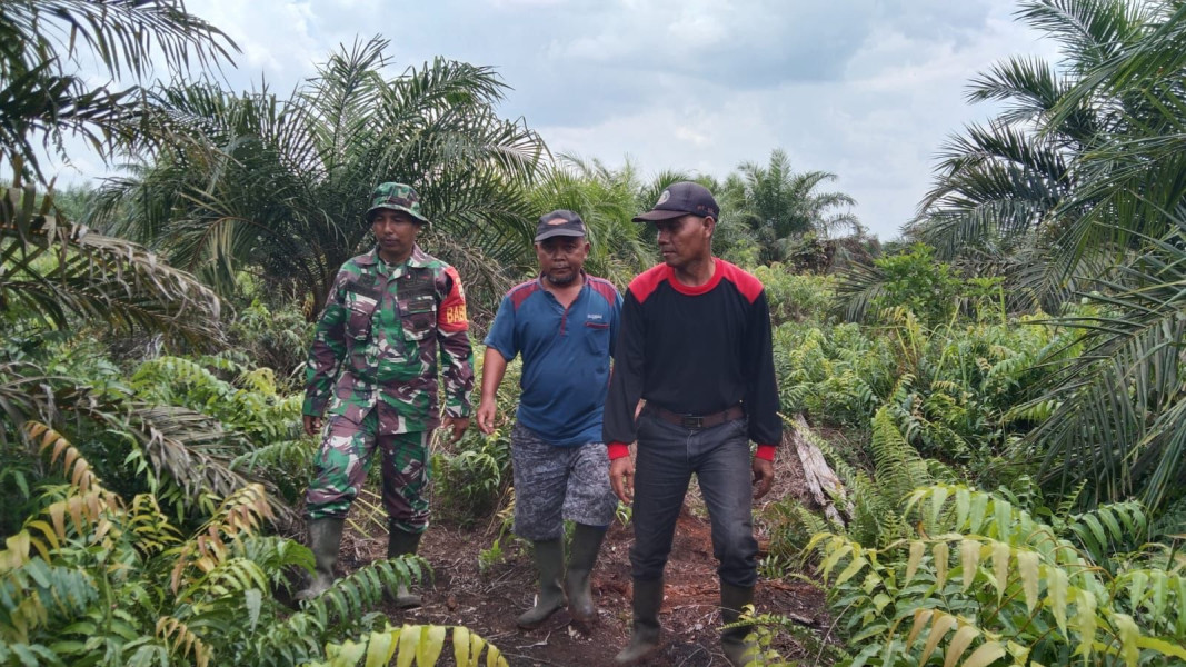 Patroli Karhutla di Rawang Air Putih Aman, Serda Erwin Pastikan Nihil Titik Api