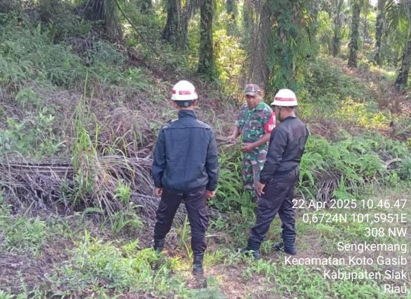 Sinergi TNI dan Masyarakat Perangi Karhutla di Perawang: Patroli Intensif Digelar, Titik Api Nihil