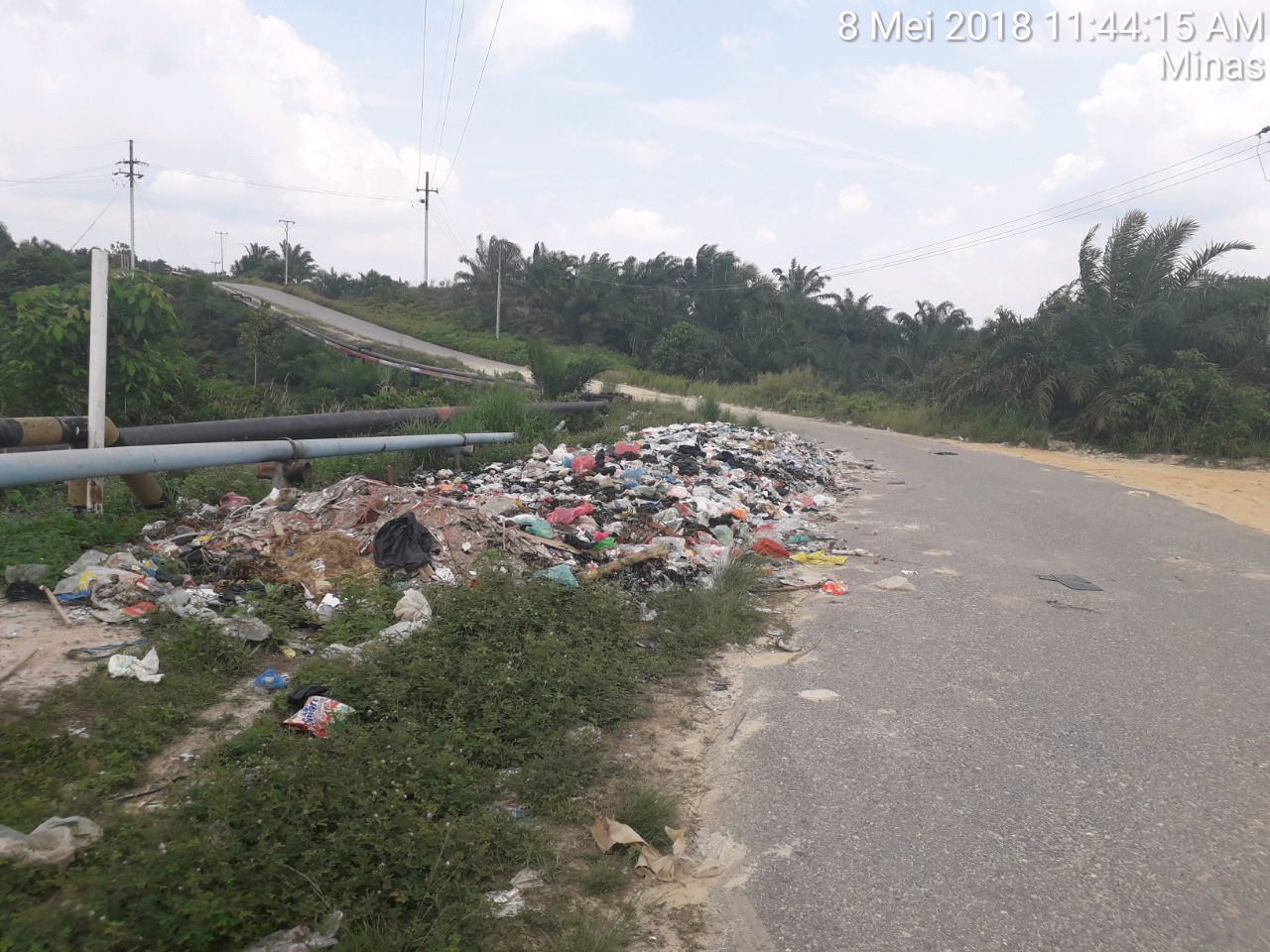 TPS Liar Dijalan Kasturi Minas Jaya, Sampah Menumpuk Dan Menimbulkan Bau Tak Sedap