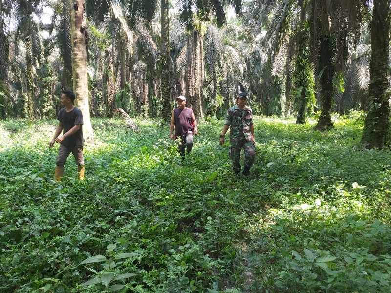 Serda K Manullang Bersama Warga Kampung Perawang Barat, Patroli Gabungan Cegah Karhutla